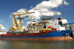 'IGMA/Cargill' Bulk Port Terminal at Amsterdam Harbor-Case Study